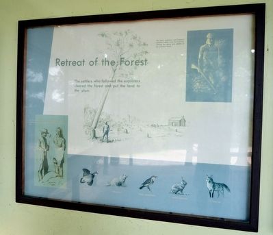 Retreat of the Forest Marker. Click for full size. Retreat of the Forest Marker image. Click for full size.