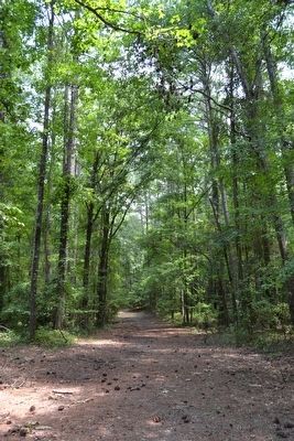 Remnant of Old Trace near Marker. Click for full size. Remnant of Old Trace near Marker image. Click for full size.