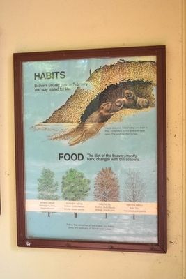Habits Food Marker image. Click for full size.