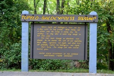 Tupelo–Baldcypress Swamp Marker. Click for full size. Tupelo–Baldcypress Swamp Marker image. Click for full size.