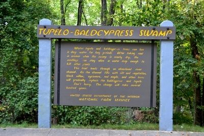 Tupelo–Baldcypress Swamp Marker image. Click for full size.