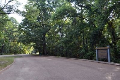 Tupelo–Baldcypress Swamp Marker near Nature Trail Head. Click for full size. Tupelo–Baldcypress Swamp Marker near Nature Trail Head image. Click for full size.