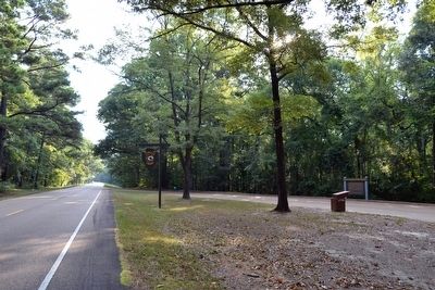 View to Northeast from Natchez Trace Parkway image. Click for full size.