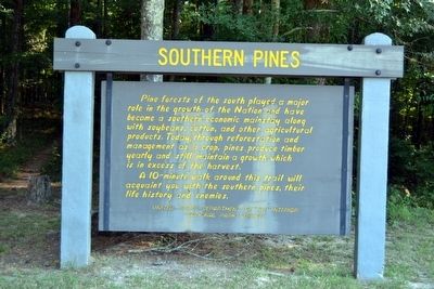 Southern Pines Marker image. Click for full size.