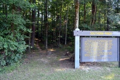 Marker next to Nature Trail Head image. Click for full size.