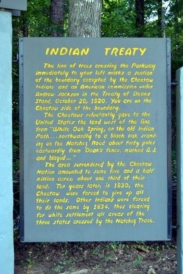 Indian Treaty image. Click for full size.