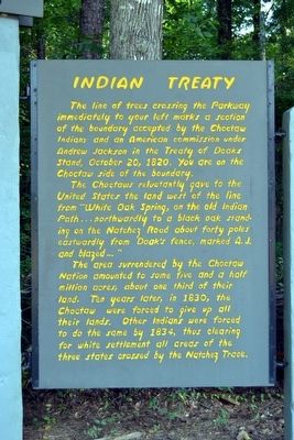 Indian Treaty image. Click for full size.