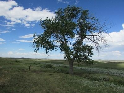 Marker on the Fetterman Battlefield image. Click for full size.