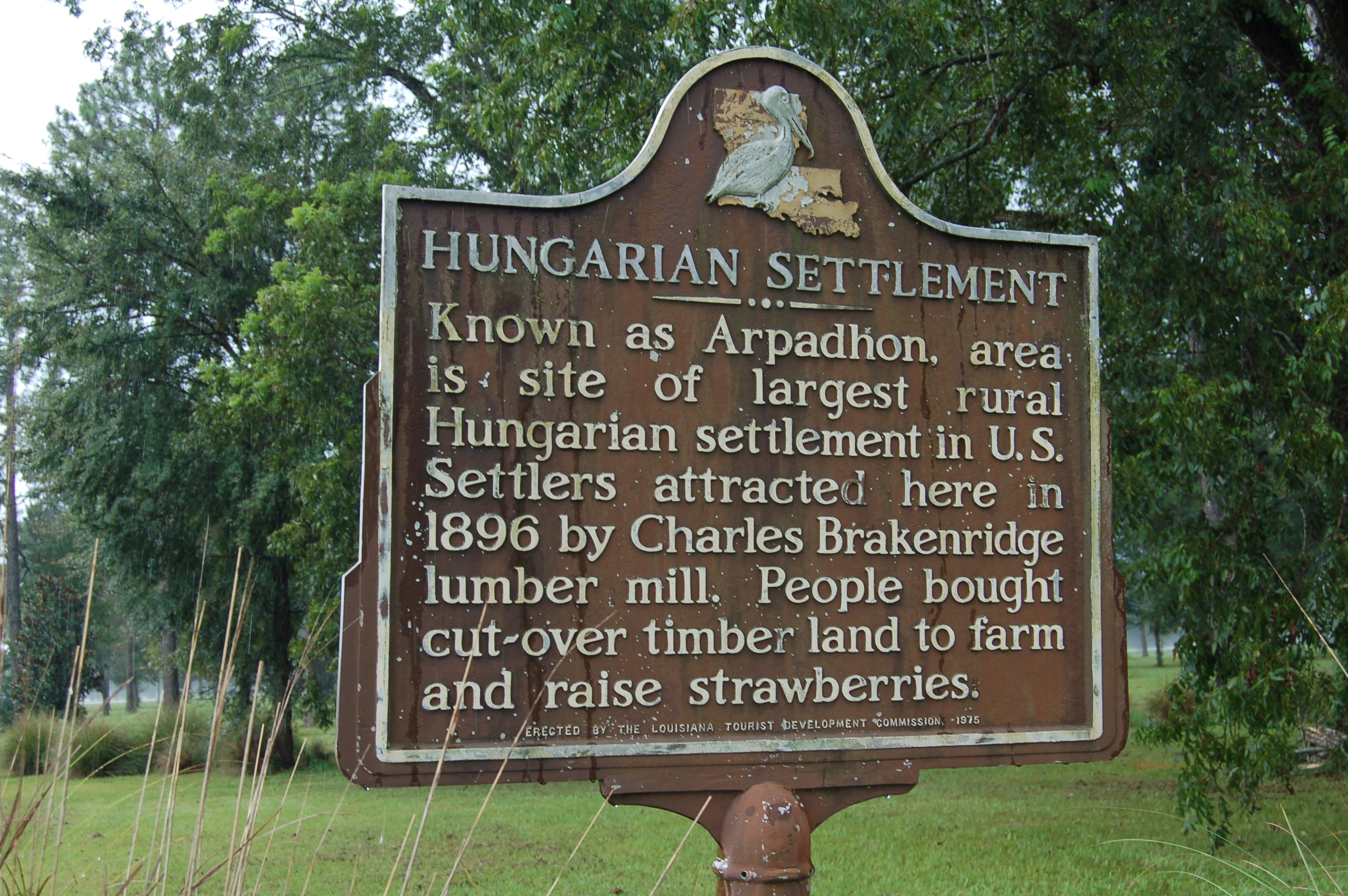 Hungarian Settlement Marker