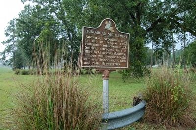 Hungarian Settlement Marker. Click for full size. Hungarian Settlement Marker image. Click for full size.