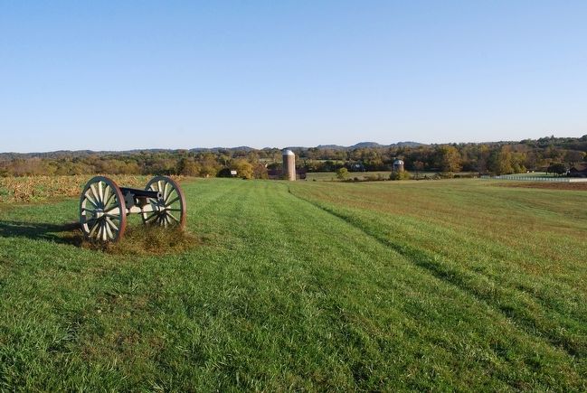 Wideview of the Area image. Click for full size.