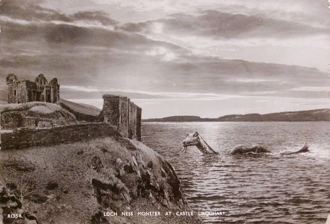 Castle Urquhart and Local Fauna image. Click for full size.