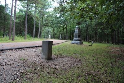 3rd and 5th Confederate Tennessee Infantry Marker image. Click for full size.