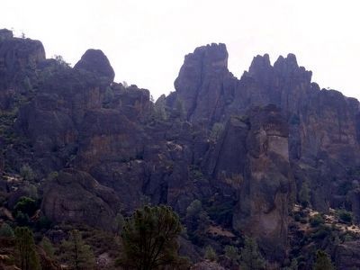Climbing at Pinnacles National Monument image. Click for full size.
