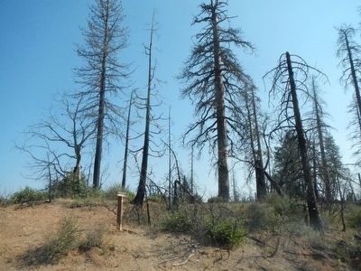 Lassen Trail - The Narrows Marker image. Click for full size.
