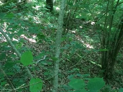 Lost Battalion Battlefield image. Click for full size.