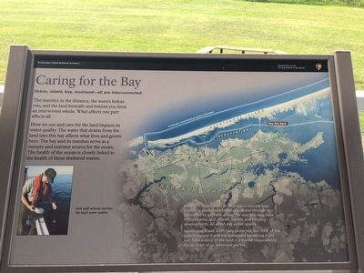 Caring for the Bay Marker image. Click for full size.