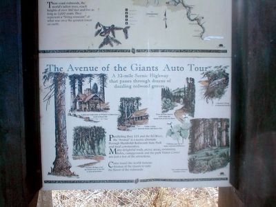 Humboldt Redwoods State Park Bottom Marker image. Click for full size.