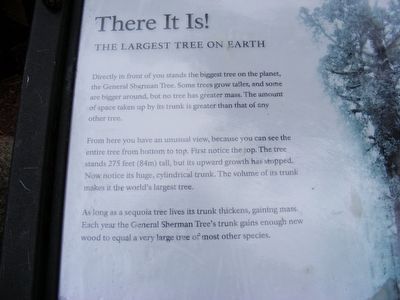 General Sherman Tree Marker-Top portion image. Click for full size.