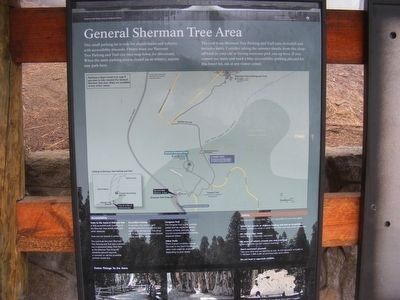 General Sherman Tree Area-map image. Click for full size.