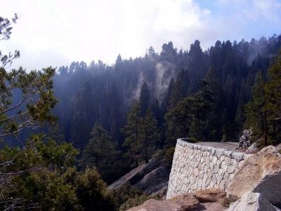 Road in Sequoia National Park image. Click for full size.
