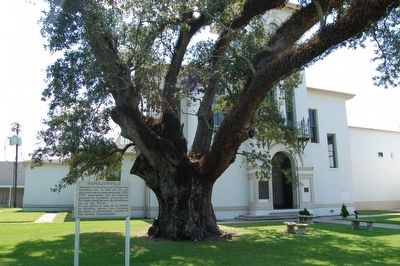 Napoleonville Marker. Click for full size. Napoleonville Marker image. Click for full size.