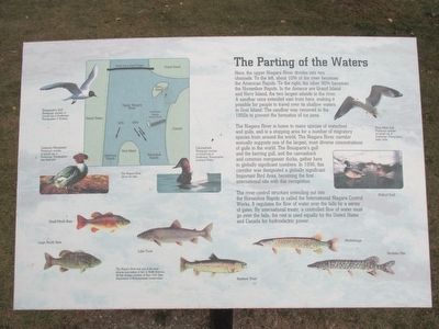 The Parting of the Waters Marker image. Click for full size.