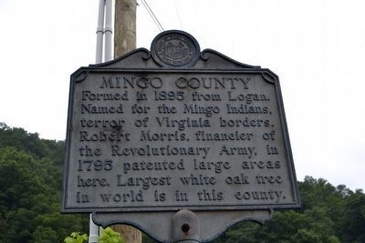 Mingo County Marker image. Click for full size.