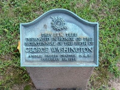 This Elm Tree Marker. Click for full size. This Elm Tree Marker image. Click for full size.