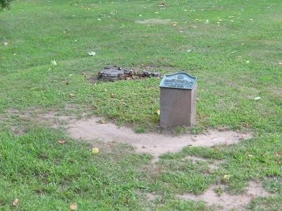 This Elm Tree Marker. Click for full size. This Elm Tree Marker image. Click for full size.
