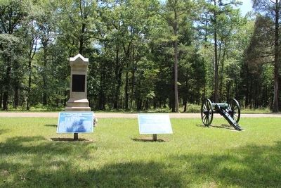Johnson's Division Marker image. Click for full size.