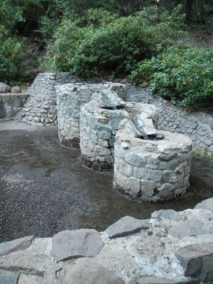 Tub Springs image. Click for full size.