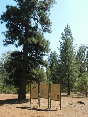 History of the Lassen Trail Marker image. Click for full size.