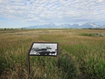 Cattle King of Wyoming Marker. Click for full size. Cattle King of Wyoming Marker image. Click for full size.