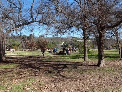 Pease Park. Click for full size. Pease Park image. Click for full size.
