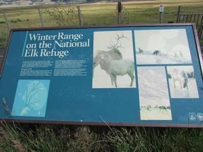 Winter Range on the National Elk Refuge Marker. Click for full size. Winter Range on the National Elk Refuge Marker image. Click for full size.
