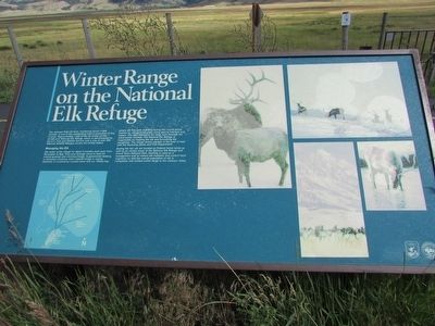 Winter Range on the National Elk Refuge Marker image. Click for full size.