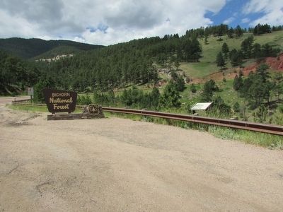Marker at Bighorn National Forest image. Click for full size.