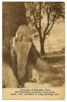 Postcard of Old Winchester Cemetery image. Click for full size.