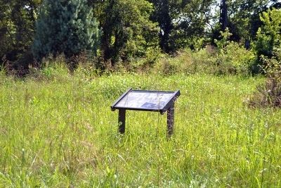 The Texas Rangers Marker. Click for full size. The Texas Rangers Marker image. Click for full size.