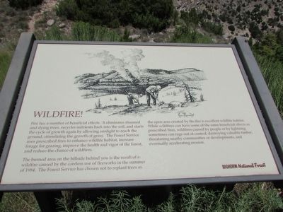Wildfire! Marker image. Click for full size.