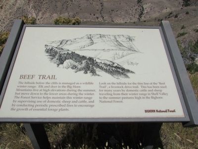 Beef Trail Marker image. Click for full size.