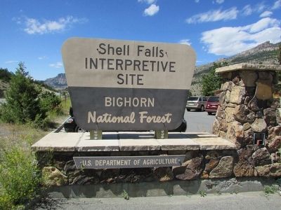 Bighorn National Forest image. Click for full size.