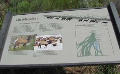 Elk Migration Marker. Click for full size. Elk Migration Marker image. Click for full size.