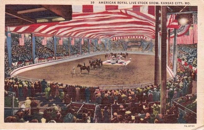 <i> American Royal Livestock Show, Kansas City, Mo.</i>. Click for full size. <i> American Royal Livestock Show, Kansas City, Mo.</i> image. Click for full size.