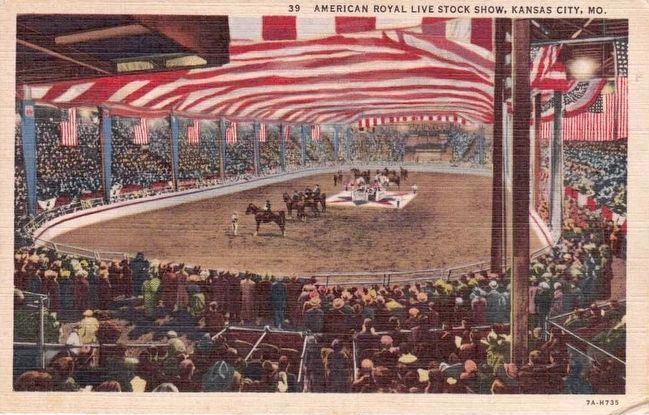 <i> American Royal Livestock Show, Kansas City, Mo.</i> image. Click for full size.