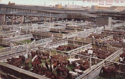 <i>Stock Pens, Kansas City, Mo. Stock Yards.</i> image. Click for full size.