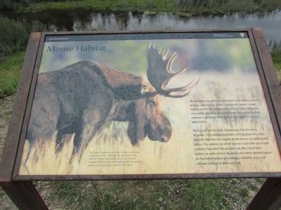 Moose Habitat Marker. Click for full size. Moose Habitat Marker image. Click for full size.