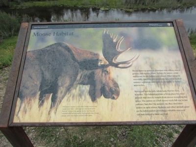 Moose Habitat Marker image. Click for full size.