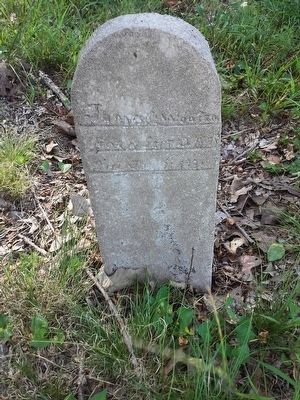 Pleasant Hill Cemetery Home Made Grave Marker James Wooten, 1880's image. Click for full size.